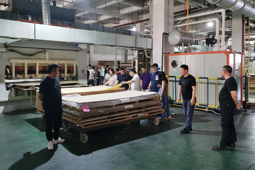 品質見證 南京戰略合作定制工廠一行到訪大王椰考察交流