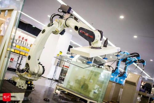 打造千億級機器人產業(yè)集群,順德憑什么能
